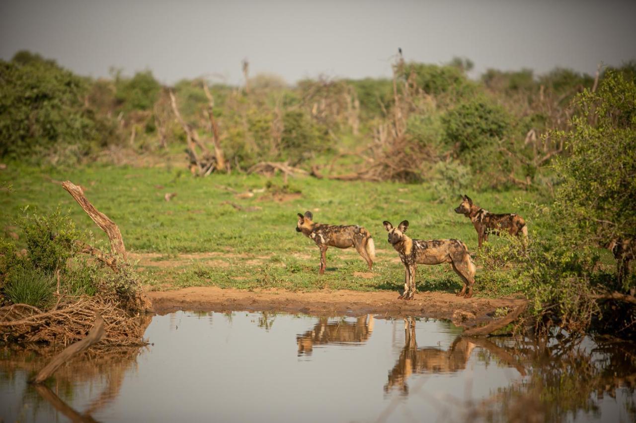 Jamala Madikwe Madikwe Game Reserve Exterior foto