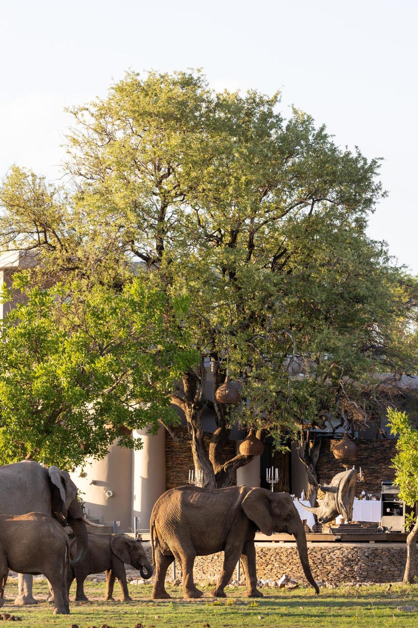 Jamala Madikwe Madikwe Game Reserve Exterior foto